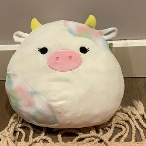 Super cute and chunky rainbow squishmallow